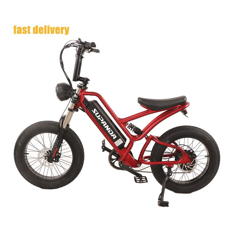 Hot Selling E-bike 20 Inch             Electric Bicycle Wholesale        4