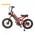 Hot Selling E-bike 20 Inch             Electric Bicycle Wholesale        4