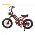 Hot Selling E-bike 20 Inch             Electric Bicycle Wholesale       
