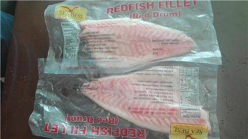 Frozen Red Fish/Red Drum fillet, Red Drum whole round Red Drum whole round  500-