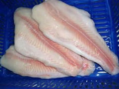 Frozen basa fillets