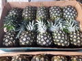 Fresh Pineapples 1