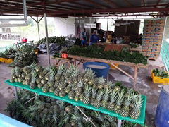 Juli Fruits and Vegetable Trading
