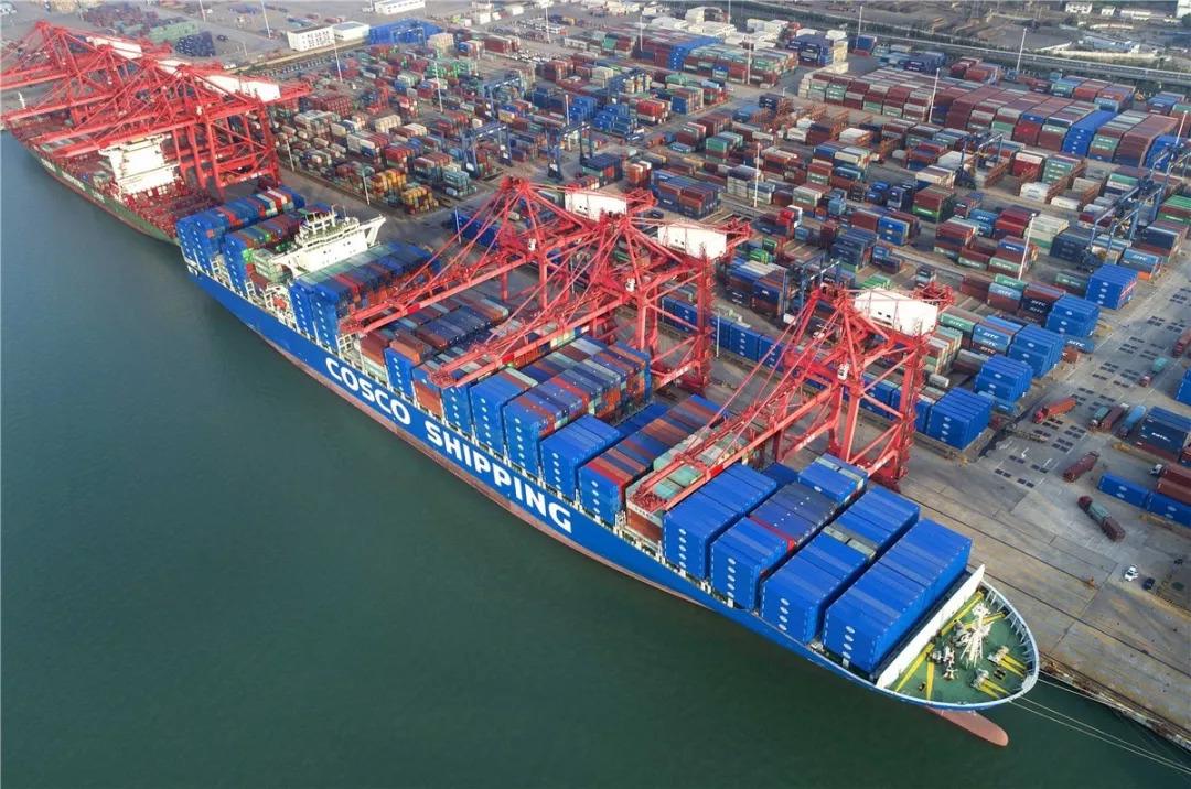 Import and Export Customs Clearance Agent
