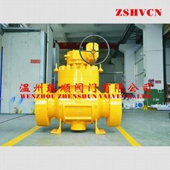 Trunnion mounted Top entry ball valve