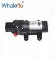 Whaleflo DC 12V 2LPM Small Diaphragm Pressure Water Pump 3.8Bar 0.5GPM