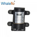 Whaleflo DC 12V 3.8LPM Small Diaphragm Pressure Water Pump 2.4Bar 1.0GPM