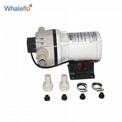 Whaleflo 30LPM Chemical AC Urea Pump Price Similar to PIUSI Adblue Pump Factory 