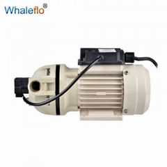 Factory Direct Supply Whaleflo 115V AC Diesel Exhaust Chemical Fluid Transfer Pu