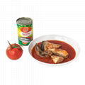 Canned fish Canned Mackerel in Tomato