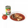 Canned fish Canned Mackerel in Tomato Sauce