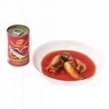Fresh Seafood Canned Sardine In Tomato Sauce 2