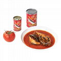 Fresh Seafood Canned Sardine In Tomato