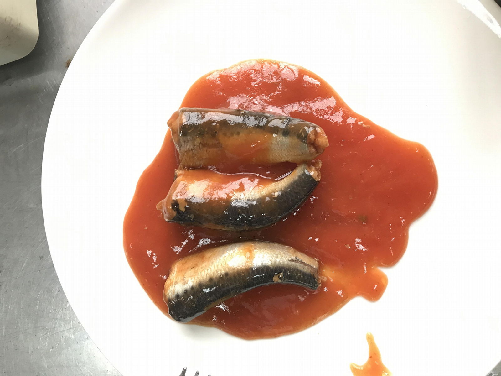 Fresh Seafood Canned Sardine In Tomato Sauce 4
