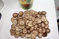 400G Canned Shiitake Mushroom Whole With Private Label 4
