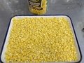 2840g Canned Sweet Corn Kernel Canned Food 2