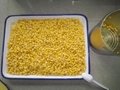 2840g Canned Sweet Corn Kernel Canned Food 4