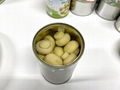 Canned Fresh Button Mushroom With Customer's Brand 3