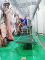 Bleeding conveyor cow slaughter machine 5