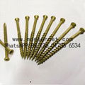 Cutting Tail Wood Screws Type 17 point Particle Board Screws Rolled Thread Zinc 