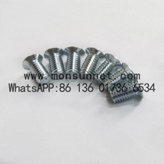 Anti-theft screw and Electronic screw factory