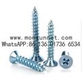 Carbon Steel Pan Head Tapping Screws From the Manufacturer
