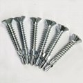 Self-drilling Screws  Galvanized Countersunk  Head  with Wing screws manufactur