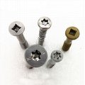 Self-drilling Screws  Galvanized Countersunk  Head  with Wing screws manufactur 2