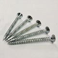 C1022 Steel Chipboard Screw Harden Double CSK Head Pozi Cut Point Screw 1