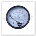 Piston Differential Pressure Gauges Switches 1