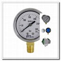 Pressure Gauges 1