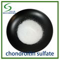 CHONDROITIN SULFATE 1