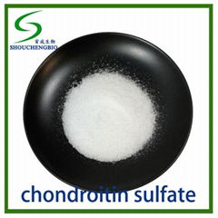 CHONDROITIN SULFATE