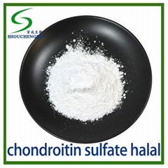 CHONDROITIN SULFATE（HALAL）