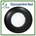Glucosamine Sulfate Sodium Chloride 1