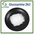 Glucosamine Sulfate Potassium Chloride  1