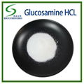 Glucosamine Hydrochloride