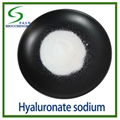 Hyaluronic acid 1