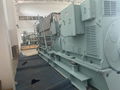 diesel generator set MAN9L21/31