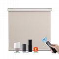 Motorized Roller Shade Heat Insulation Hardwired Smart Blinds Voice Control Priv