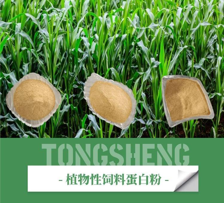 長期供應菌體蛋白粉 提升飼料蛋白 2