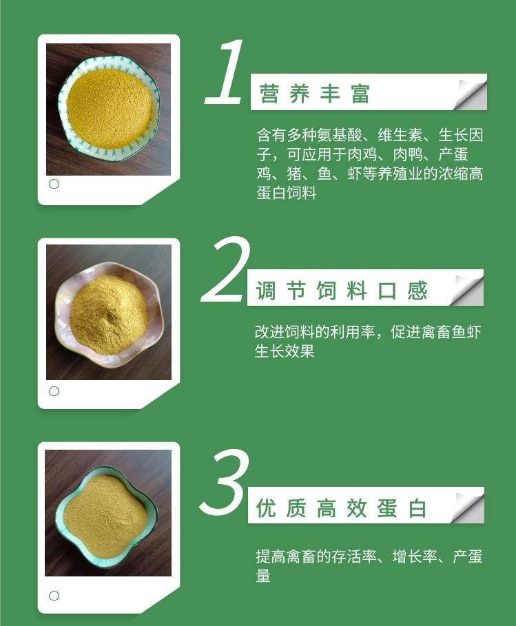 長期供應菌體蛋白粉 提升飼料蛋白 3