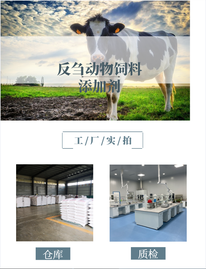 奶牛母牛配合飼料添加劑膨化尿素淺黃顆粒狀態山東同盛廠家直銷 4