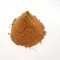 Hot Sale Plant Extract Wholesale Gingerol Powder Ginger Root Extract 1