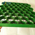 Flat Type PP HDPE Plastic Grass Grid