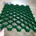 Wave Type PP HDPE Plastic Grass Grid