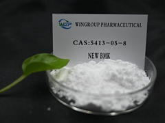 New Arrival BMK 5413-05-8 BMK Glycidate Powder with Safe Delivery to UK/Poland 