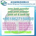 Wts +8618627159838 Manufacurer Supply New BMK Powder New PMK Powder High Quality 1