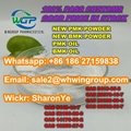 Wts +8618627159838 Manufacurer Supply New BMK Powder New PMK Powder High Quality