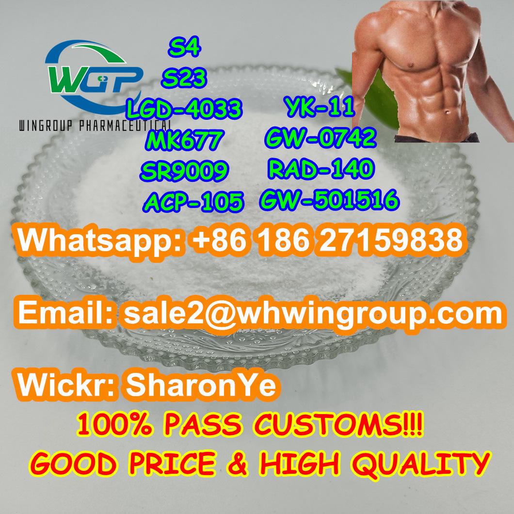 Wts +8618627159838 Sarms Powder Steriod Powder Bodybuilding Muscle Growth 4